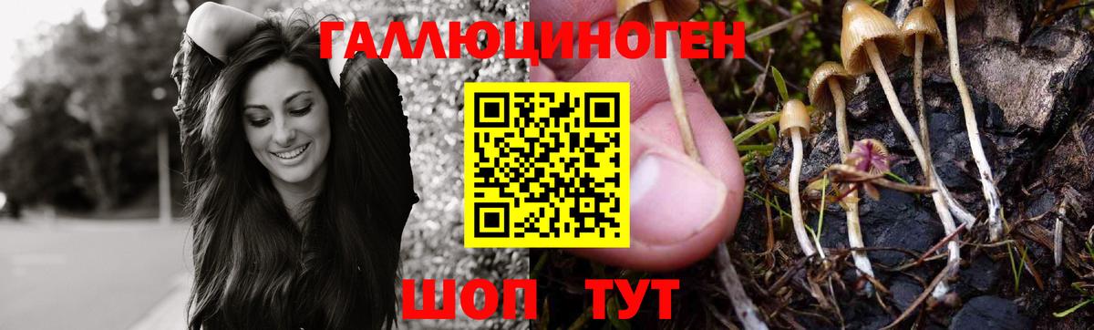 Галлюциногенные грибы Cubensis  Галлюциногенные грибы GOLDEN TEACHER  Серов  Вход с VPN 