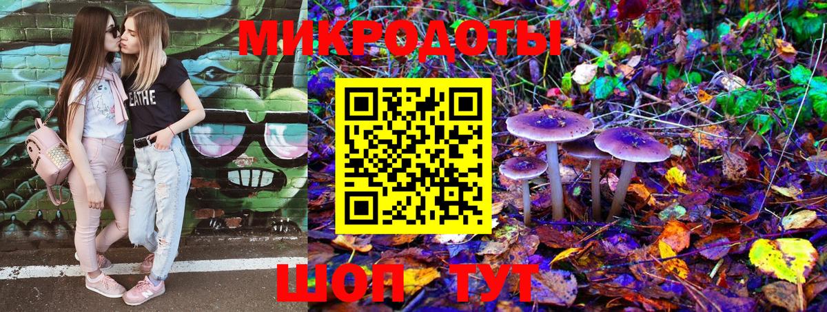 Галлюциногенные грибы Cubensis Серов